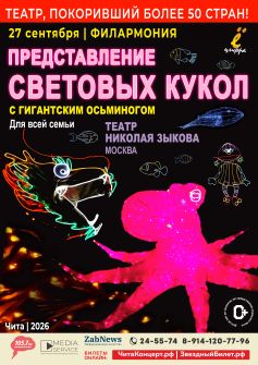 Представление световых кукол. Театр Николая Зыкова (г. Москва) - дополнительное шоу!